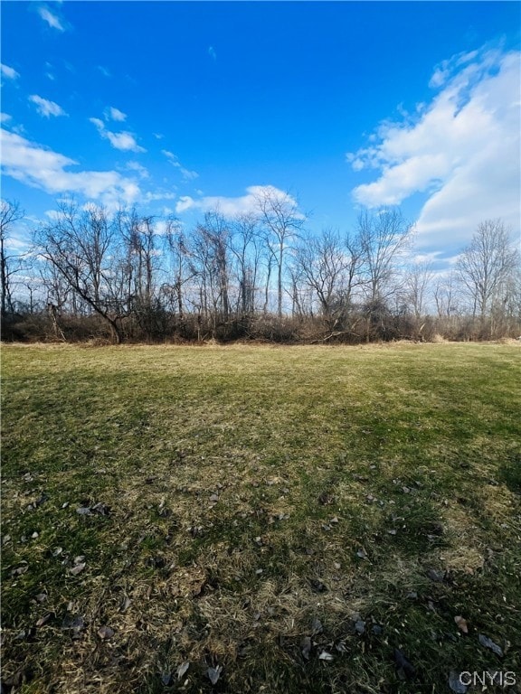 0 Will New Blvd unit S1521106, Canastota, NY 13032 - photo 3