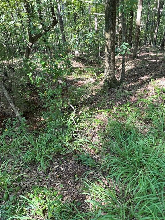 0 Fears Rd unit 7684722, Madison, GA 30650 - photo 6