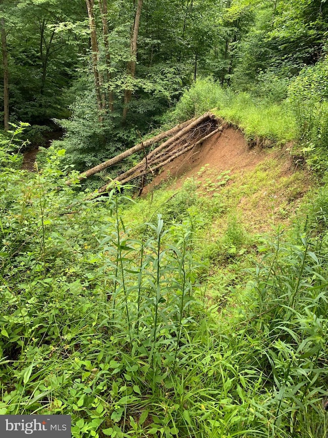 0 Route 5, Renick, WV 24966 - photo 3