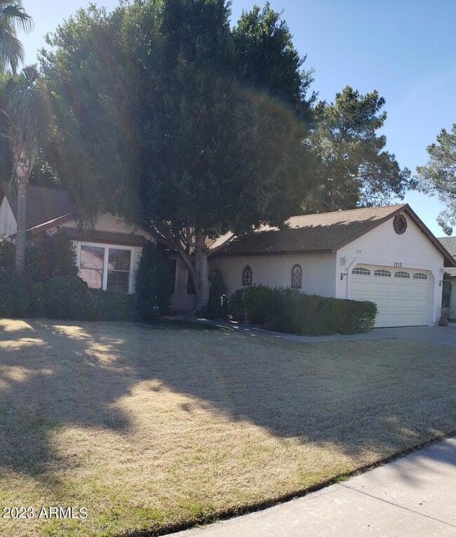1313 Taro Lane