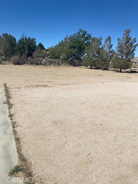 2495 51st St W, Rosamond, CA 93560 - photo 3