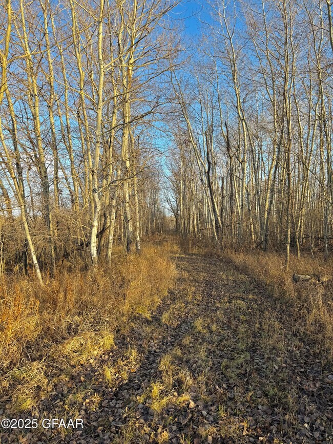 14840 U S 59, Thief River Falls, MN 56701 - photo 7