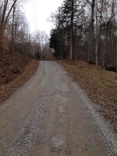 buffalo cove rd 1