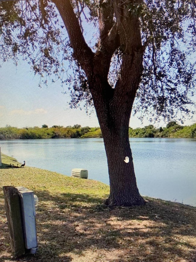 2515 Turtleback Way unit 297, Ruskin, FL 33570 - photo 4