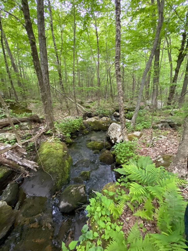 0 Brimfield Rd, Monson, MA 01057 - photo 4