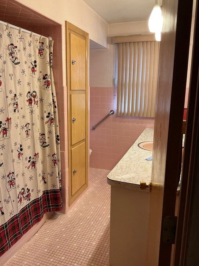 618 W Bevan Dr, Joliet, IL 60435 - photo 5