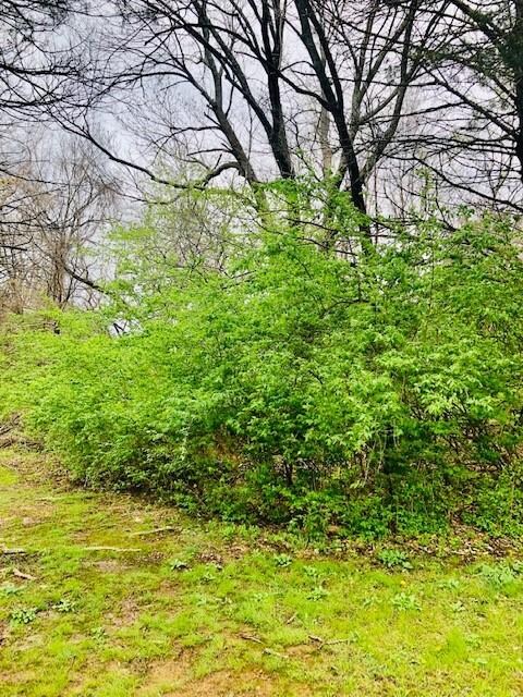 Parcel# 835-38081-00 S Redbud Ave, West Fork, AR 72774 - photo 4