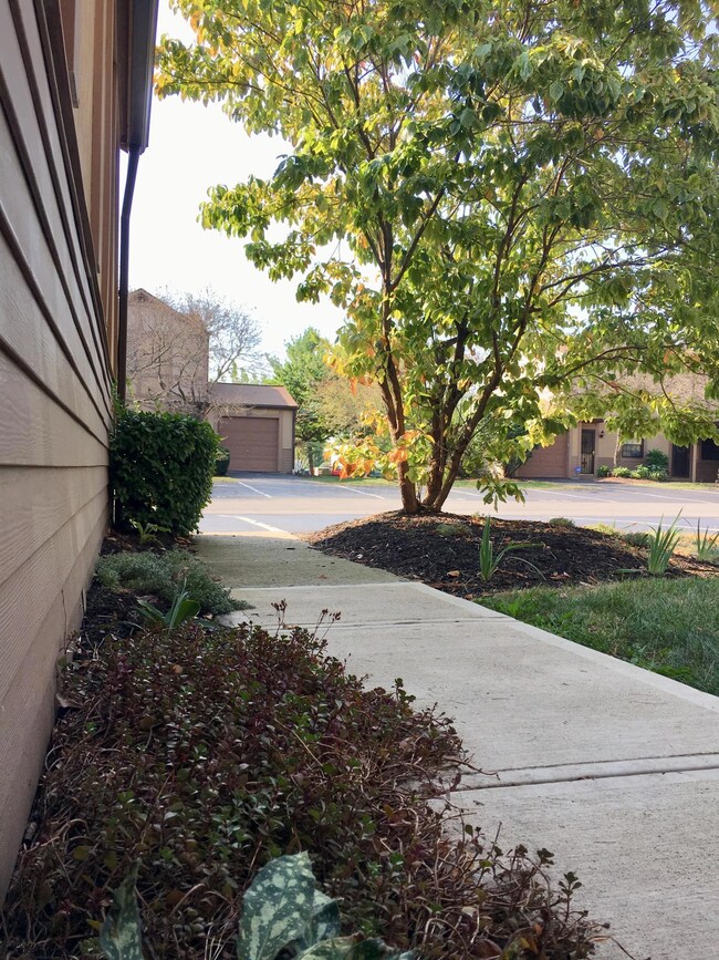 Walkway from Entry