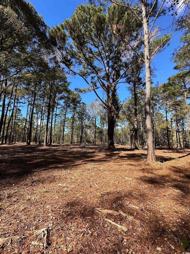 TBD Highway 707, Myrtle Beach, SC 29588 - photo 4