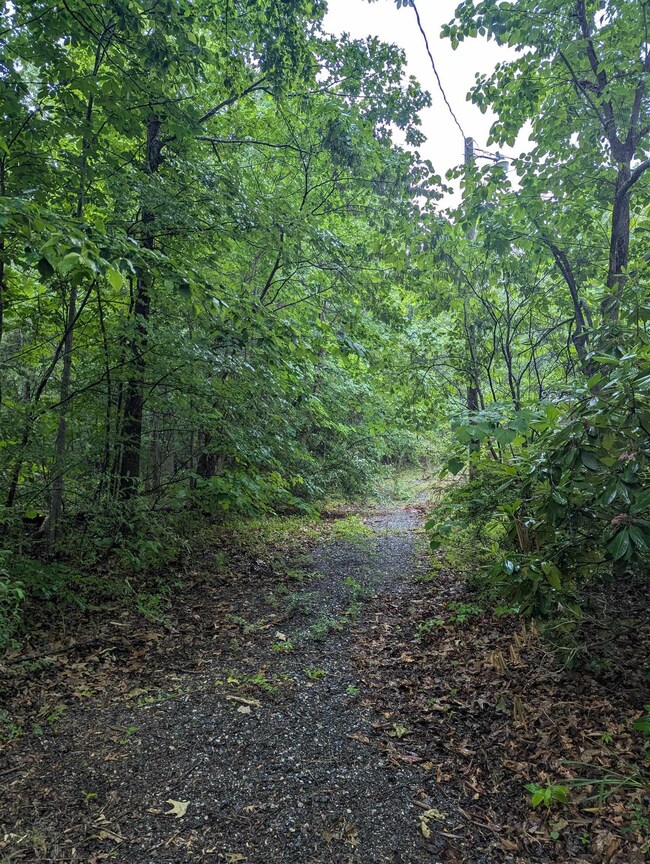 78 Gra Mar Ln, Stuarts Draft, VA 24477 - photo 2