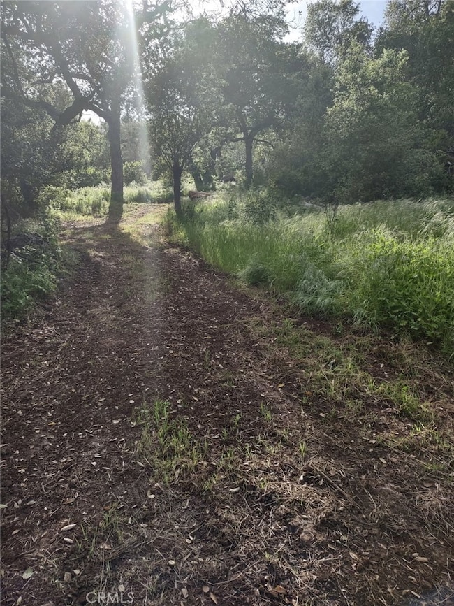 0 Avenida Perla Bonita unit SW25258371, Murrieta, CA 92562 - photo 5