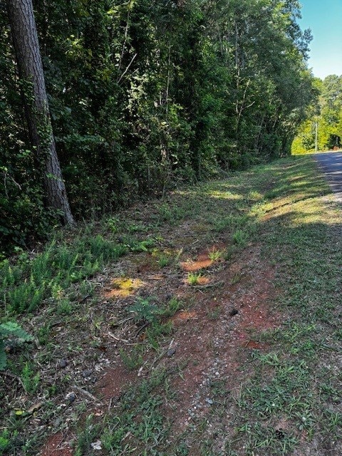 Lot 6 Stripers Cove Ln, Clarksville, VA 23927 - photo 3