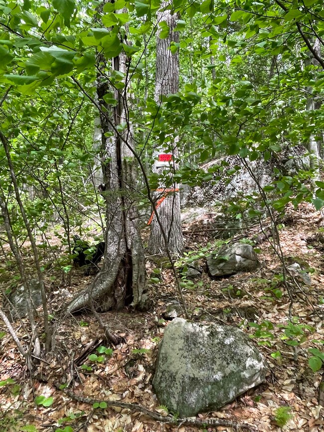 Lot 1 Old Roxbury, Meredith, NH 03253 - photo 2