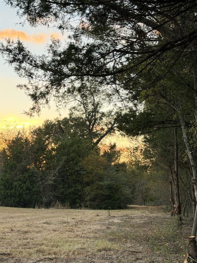 TBD Rs County Road 1150 unit Lot 6, Emory, TX 75440 - photo 6