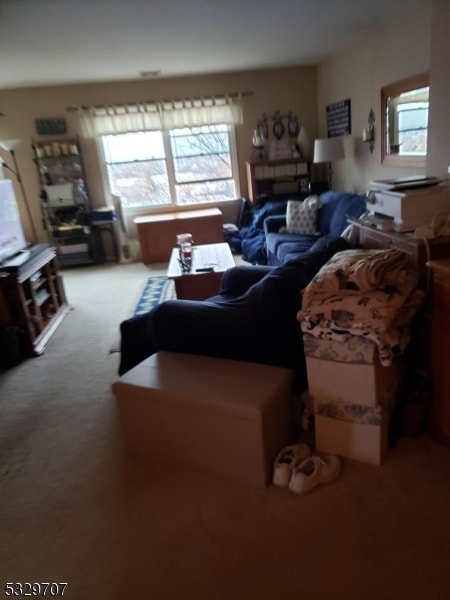 14 Berton Place, Belleville, NJ 07109 - photo 5