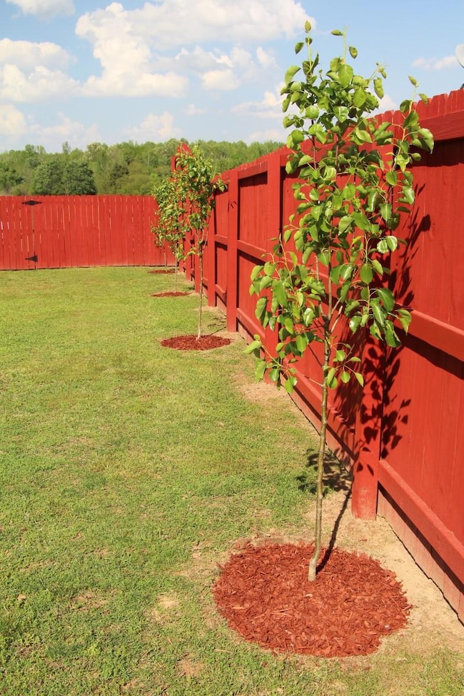 44 Slaughter Pen Rd, Ardmore, TN 38449 - photo 6