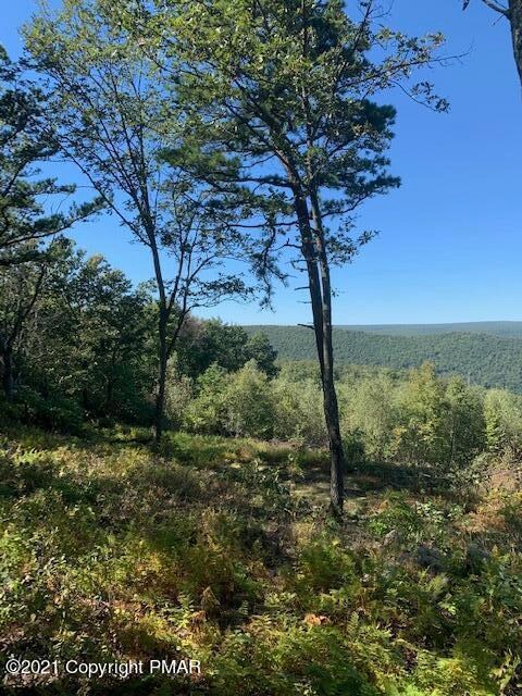 0 Flagstaff Rd unit PM-89080, Jim Thorpe, PA 18229 - photo 3