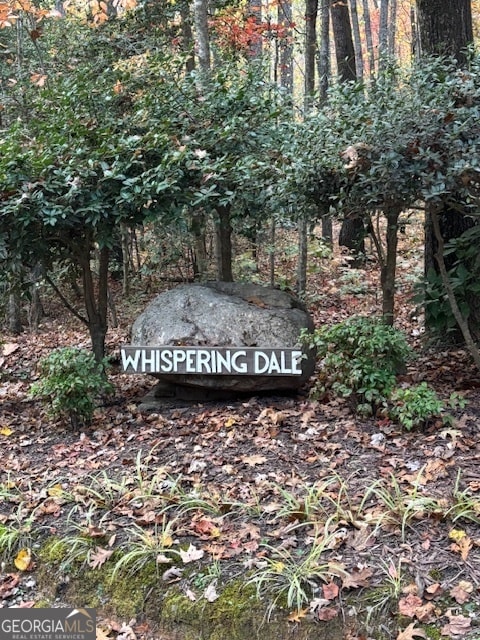 595 Whispering Dale Dr, Clarkesville, GA 30523 - photo 5