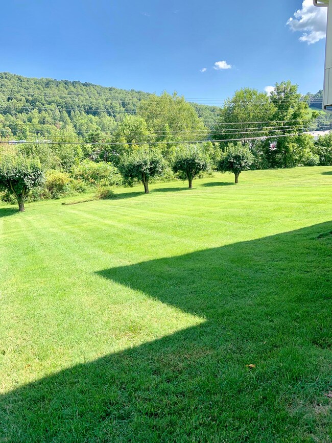 1810D4D7-9E40-4DEF-82B2-DD85FE903D0B