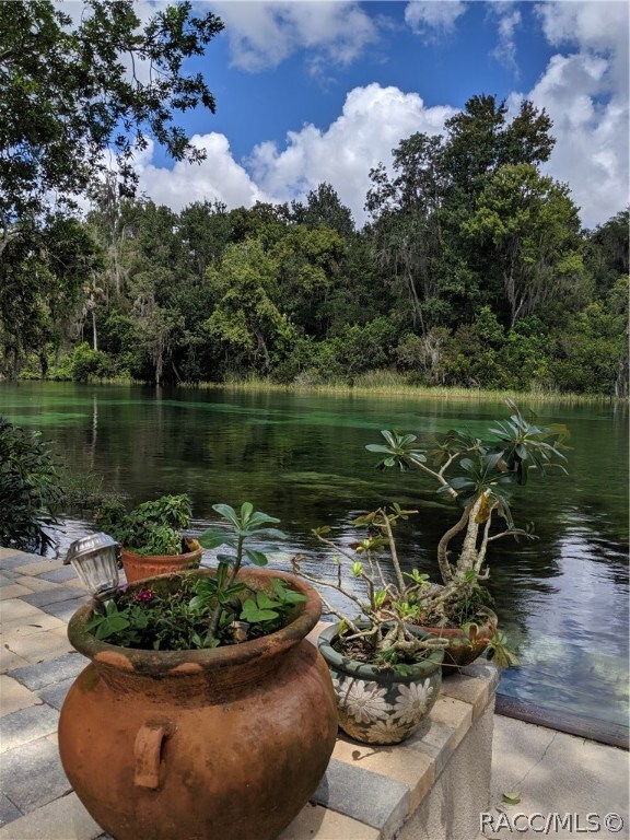 9061 SW 190th Avenue Rd, Dunnellon, FL 34432 - photo 4