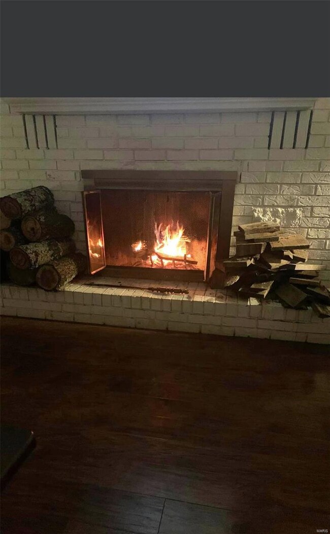 15183 Orchard Lake Dr, Dexter, MO 63841 - photo 4