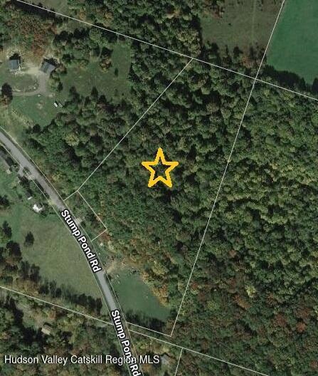 Tbd Stump Pond Rd, Livingstn Mnr, NY 12758 - photo 2