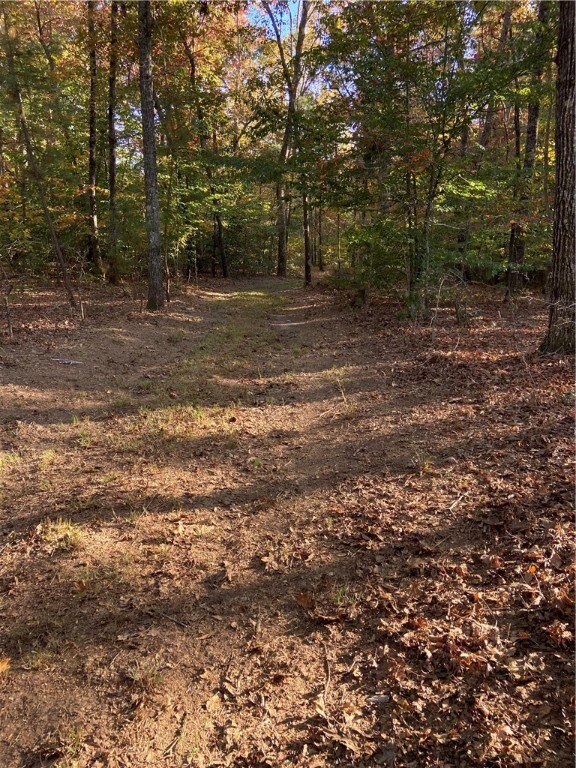 Path towards back of Property