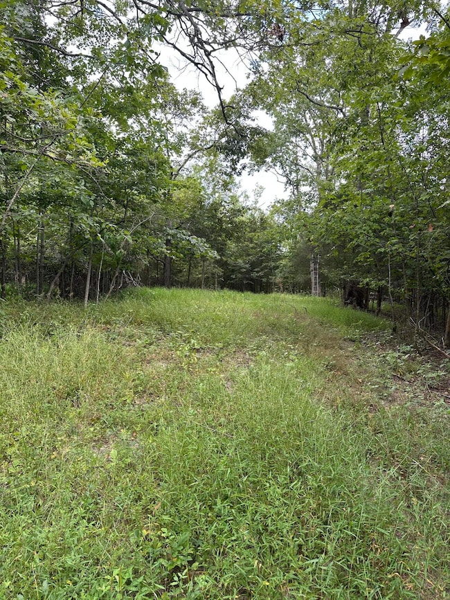 781 Apple Ln, Cynthiana, KY 41031 - photo 6