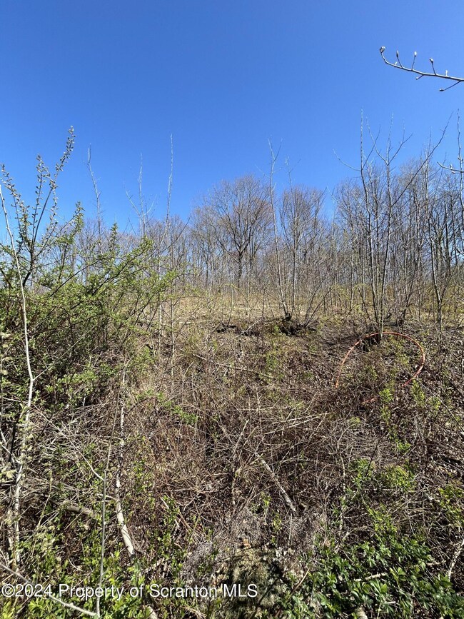 109 Black Walnut Dr, Olyphant, PA 18447 - photo 4