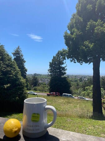 Deck View