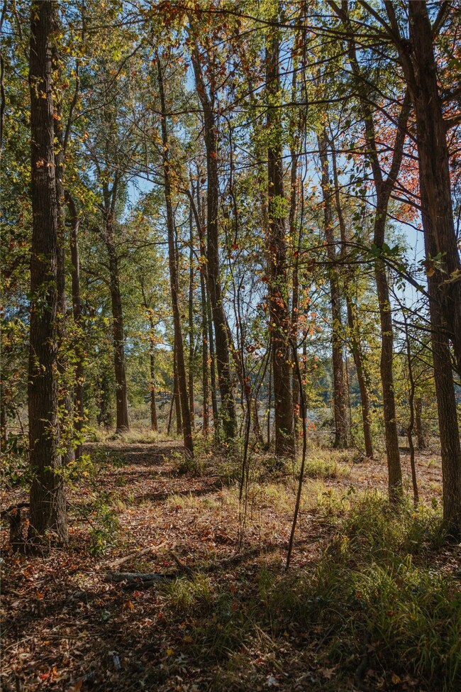 Lot 16 Private Road 5948, Yantis, TX 75497 - photo 4