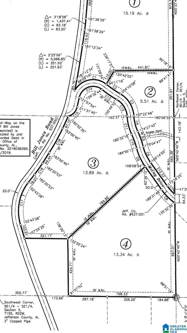 2011 Mccay Dr, Morris, AL 35116 - photo 4