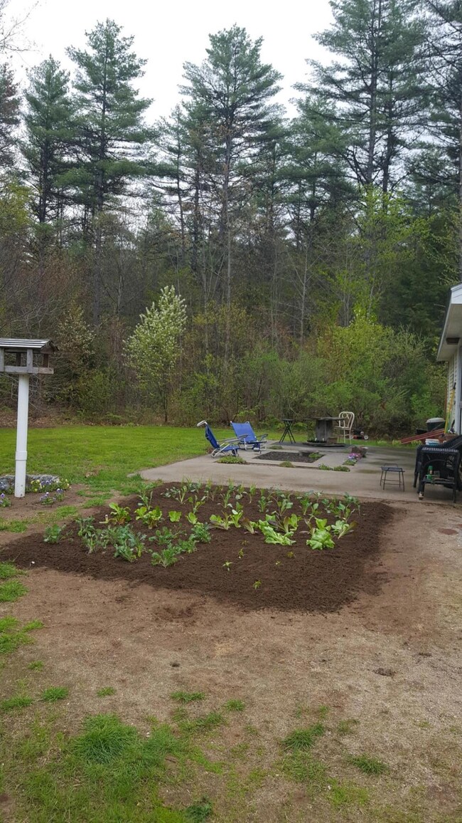 43 Brown Rd, West Baldwin, ME 04091 - photo 6