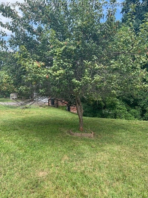 0 Lyndale Dr, Charleston, WV 25314 - photo 3