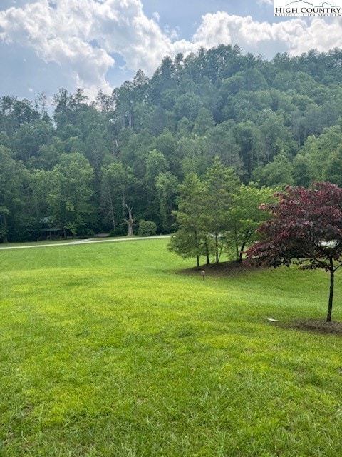 Meadow just below the lot
