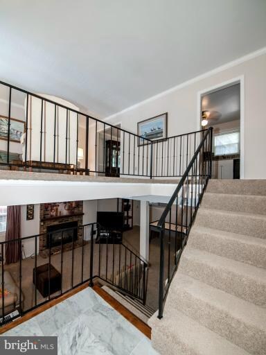 6817 Stoneybrooke Ln, Alexandria, VA 22306 - photo 3