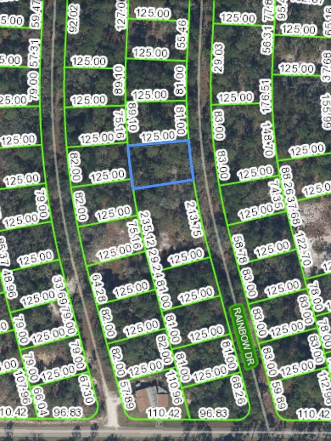 LOT 18 Rainbow Dr, Lake Placid, FL 33852 - photo 3