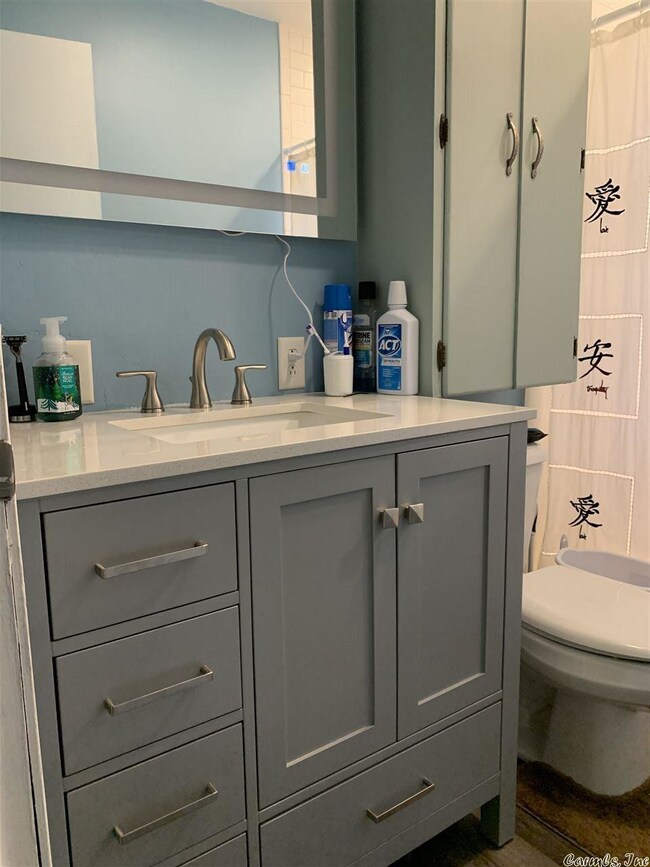 10 Peter Creek Pass, Tumbling Shoals, AR 72581 - photo 6