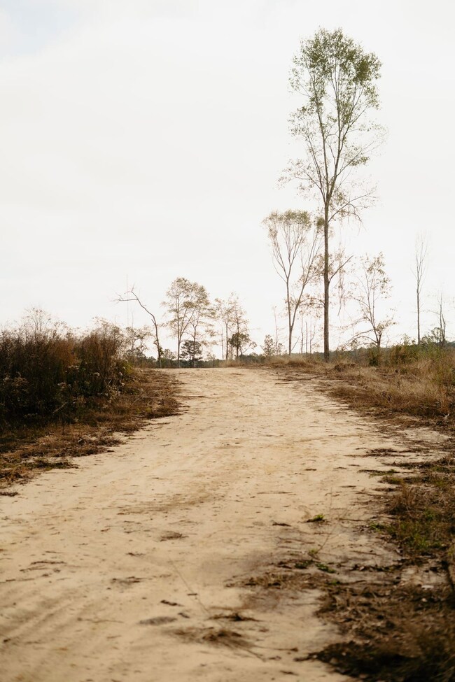 0 Hwy 98 unit 25798787, Beaumont, MS 39476 - photo 6