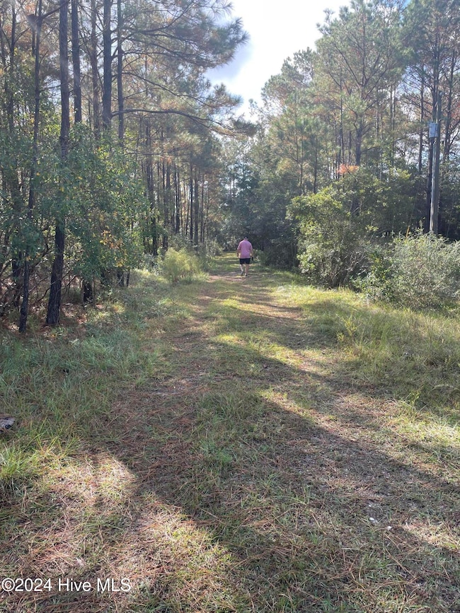 2234 SW Red Bud, Supply, NC 28462 - photo 2