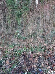 0 Eriksen Place, Concrete, WA 98237 - photo 2