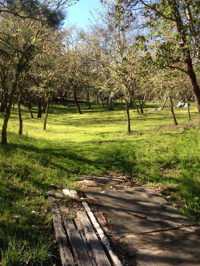 215 Morton Way, Jacksonville, OR 97530 - photo 3