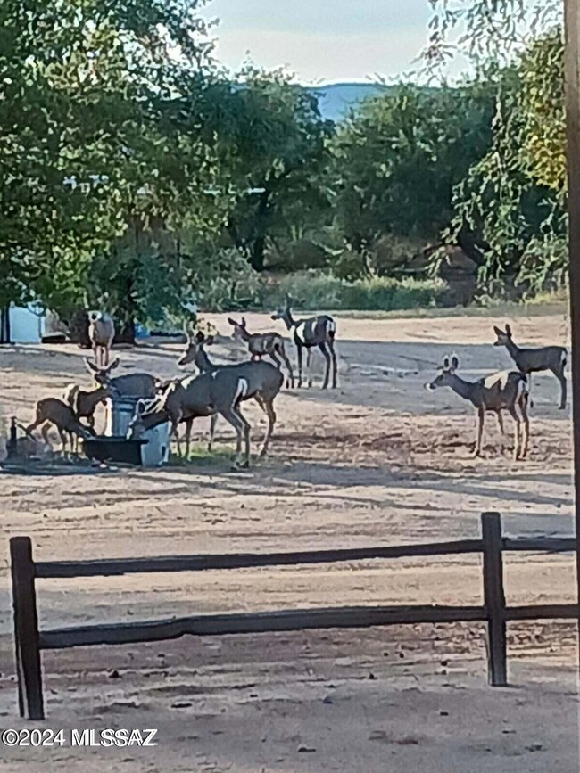 6820 S Avalon Dr, Tucson, AZ 85735 - photo 7