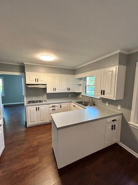 Kitchen featuring kitchen peninsula, white cabinet