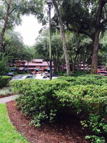 Neighborhood