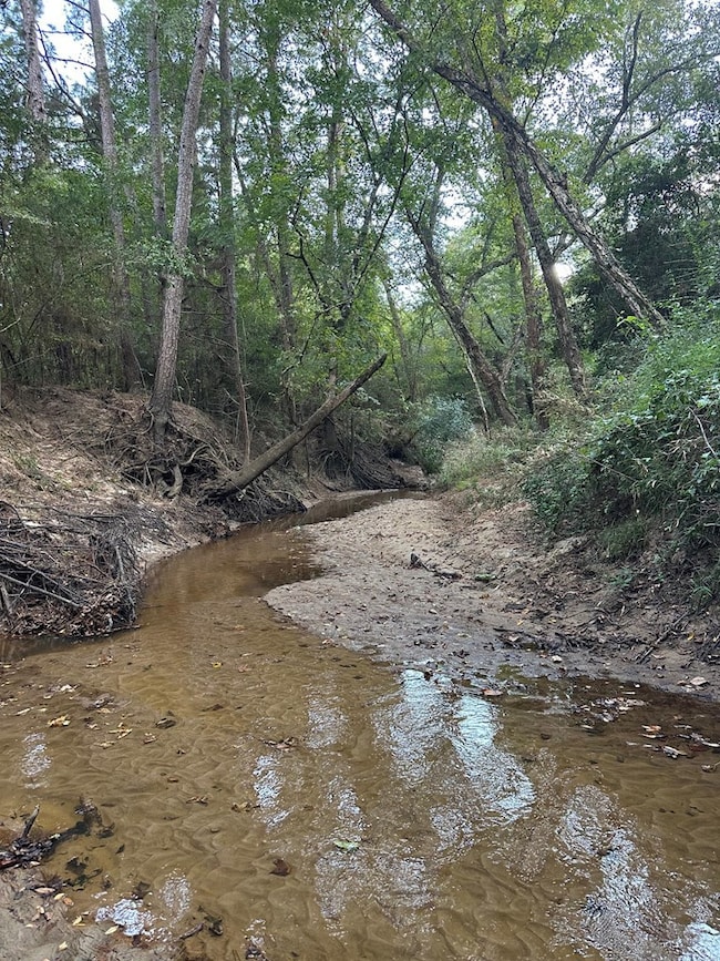 R29605 Landrum Rd, Lufkin, OK 74904 - photo 5