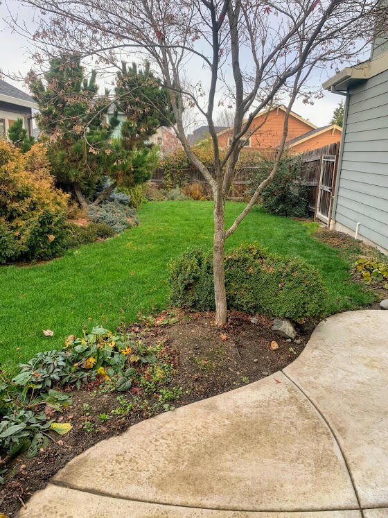 Yard