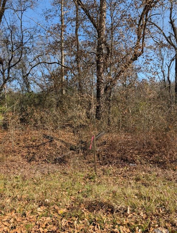 000 Mudline Rd, Eagletown, OK 74734 - photo 7