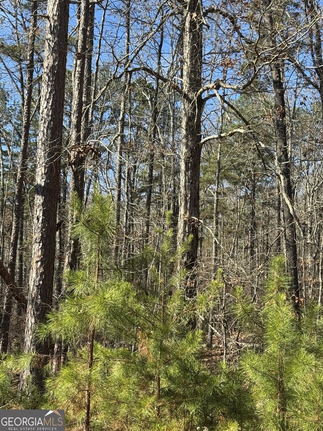 0 Arrowhead Dr unit 10651810, Delta, AL 36258 - photo 6