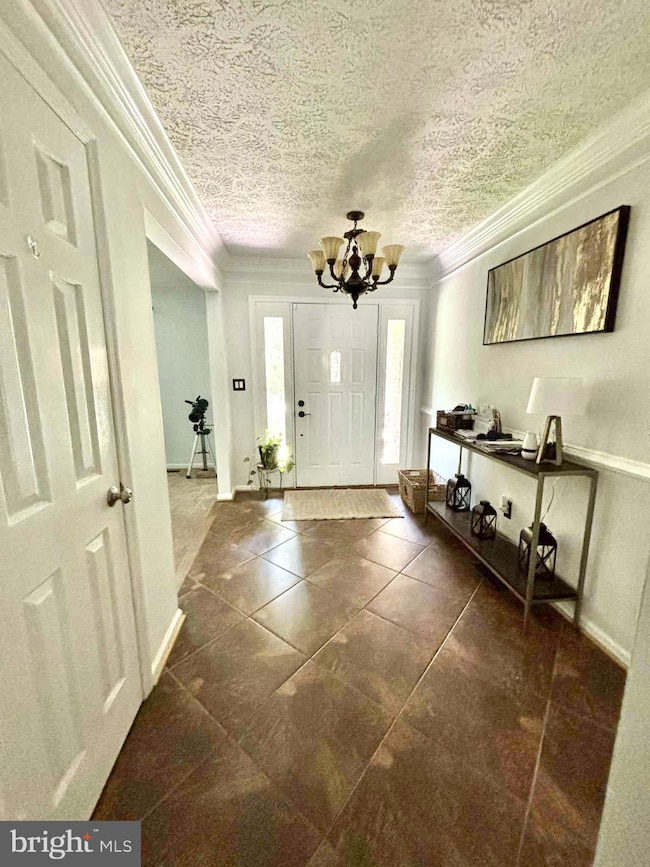 1007 Blackbeard Dr, Stafford, VA 22554 - photo 2